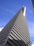 052TransAmerica Phallus Deux