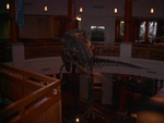 34 Jurassic lobby