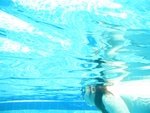 swimming 027