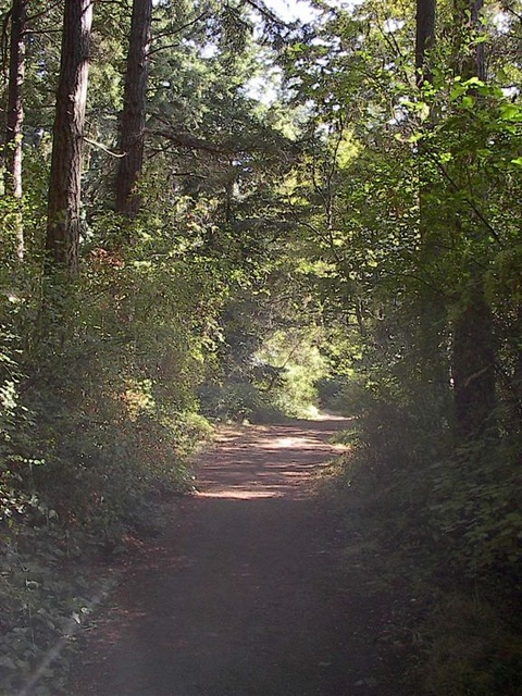 Fort Worden trail