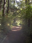 Fort Worden trail