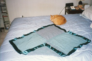 [Rusty cat and blanket on bed]