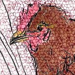 [Autumn chicken]