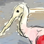 [Roseate Spoonbill]