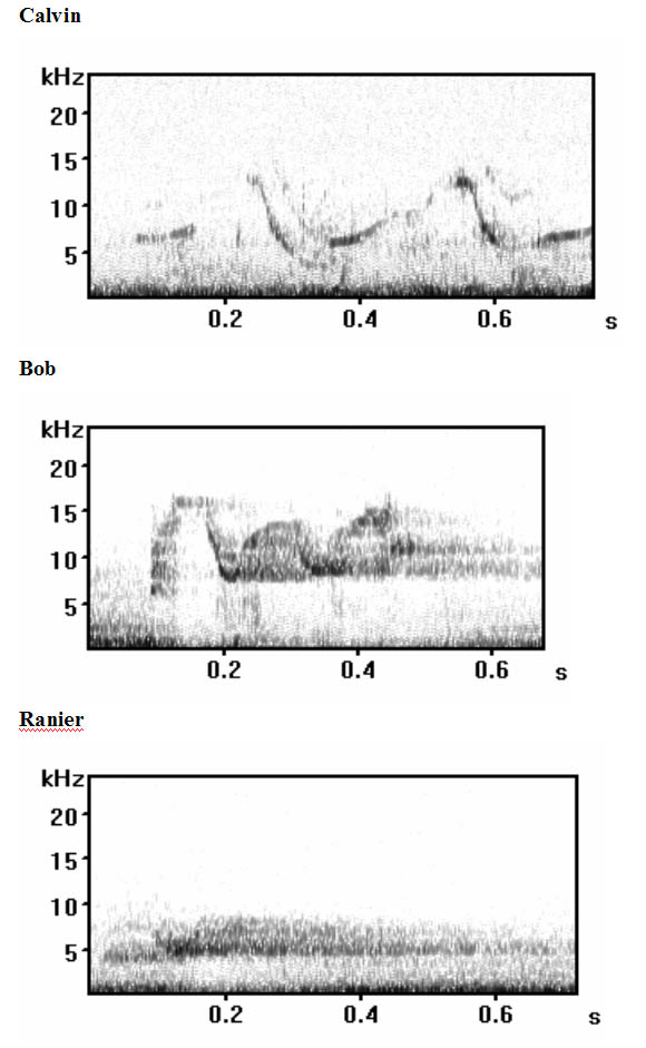 [figure 7]