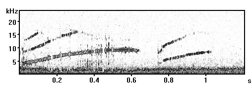 [figure 8]