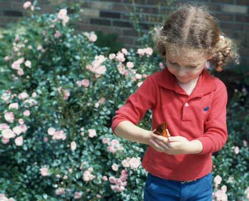 [Young Julieclipse with a butterfly]